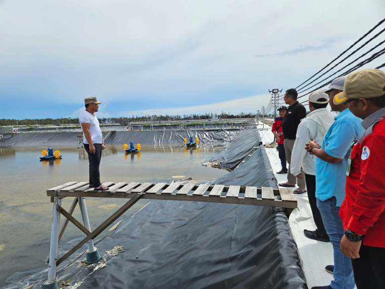 Gambar Optimis Tingkatkan Perekonomian, Gubernur Kalteng Sambangi Tahap Uji Konstruksi Shrimp Estate Kalteng Berkah