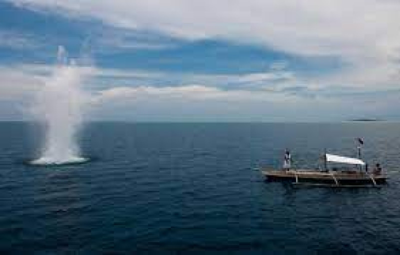 Gambar Destructive Fishing yang merusak potensi Sumber Daya  Ikan