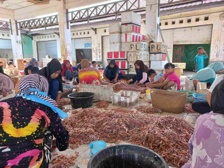 Gambar Kegiatan Pengupasan Kulit dan Kepala Udang di Pelabuhan Perikanan Kuala Pembuang