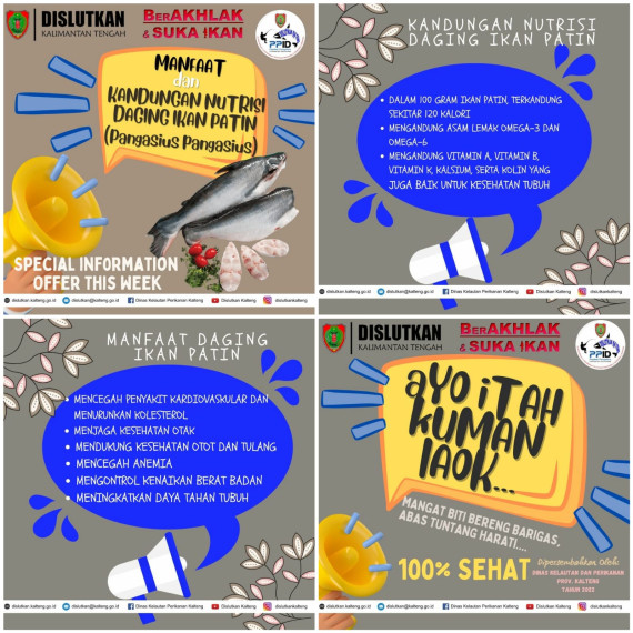 Gambar Manfaat dan Kandungan Nutrisi daging Ikan Patin (Pangasius pangasius)