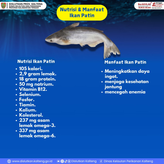 Gambar Nutrisi & Manfaat Ikan Patin