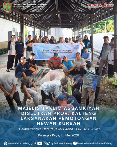 Gambar Majelis Taklim Assamkiyah Dislutkan Prov. Kalteng Melaksanakan Pemotongan Hewan Qurban Dalam Rangka Hari Raya Idul Adha 1447 H/2026 M