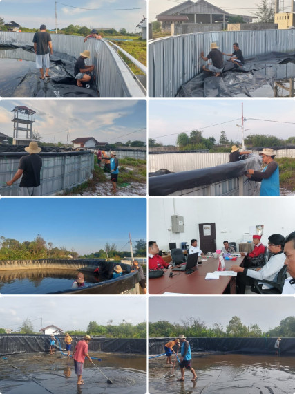 Gambar Giat Sepekan UPT. Perikanan Budidaya Air Payau Ujung Pandaran