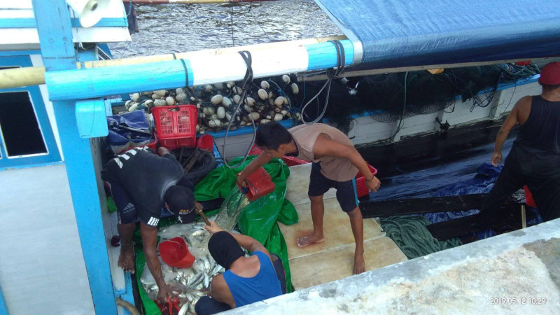 Gambar Kegiatan Bongkar Hasil Tangkapan Nelayan di UPT Pelabuhan Kumai Kab. Kobar