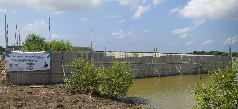 Gambar Dislutkan Prov. Kalteng Laksanakan Monev Sylvofishery di Kabupaten Seruyan