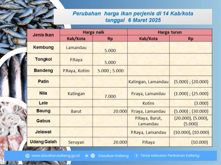 Gambar Info harga ikan tanggal 6 Maret 2025 dengan perubahanharga ikan di Kabupaten Katingan, Barito Utara, Lamandau, Seruyan, Kotawaringin Timur dan Palangka Raya.