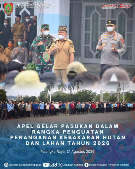 Gambar Header