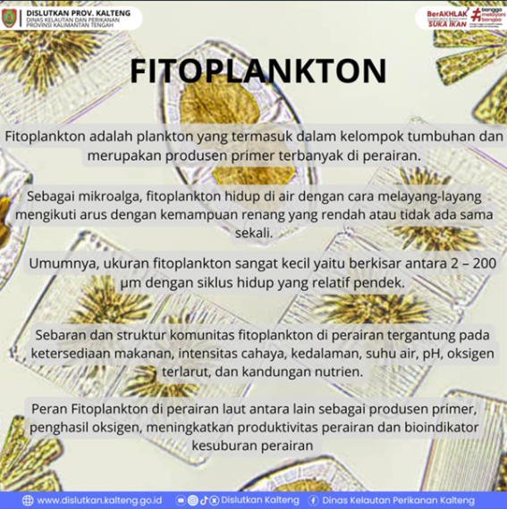 Gambar Fitoplankton