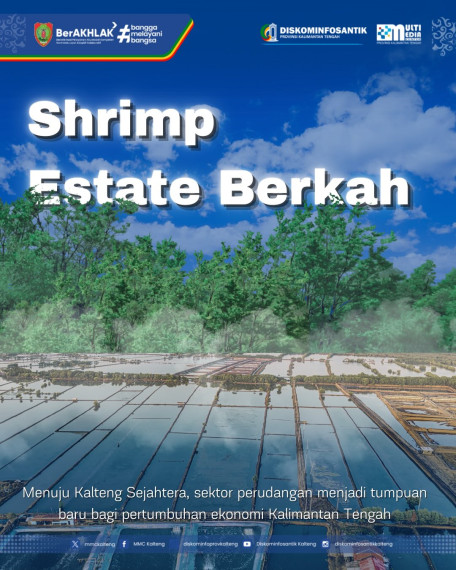 Gambar Pengembangan Udang Vaname Dorong Ekonomi Pesisir Kalteng