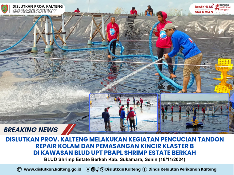 Gambar Pencucian Tandon Repair Kolam dan Pemasangan Kincir Klaster B di Kawasan BLUD UPT PBAPL Shrimp Estate Berkah Kab. Sukamara