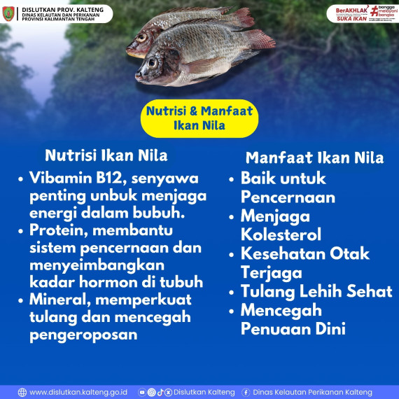 Gambar Nutrisi & Manfaat Ikan Nila