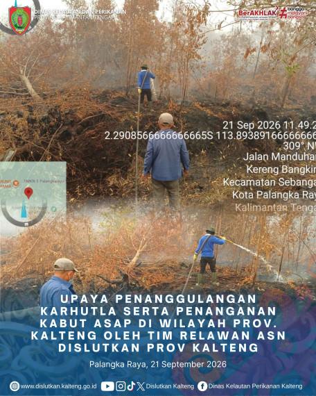 Gambar Header