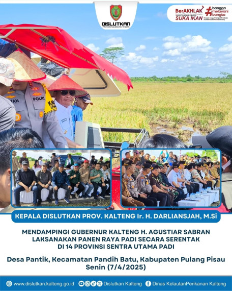 Gambar Kepala Dislutkan Dampingi Gubernur Kalteng Panen Raya Padi Secara Serentak