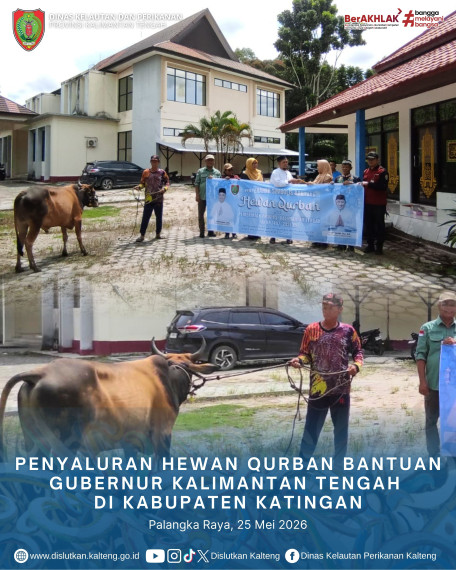 Gambar Penyaluran Hewan Qurban Bantuan Gubernur Kalimantan Tengah di Kabupaten Katingan
