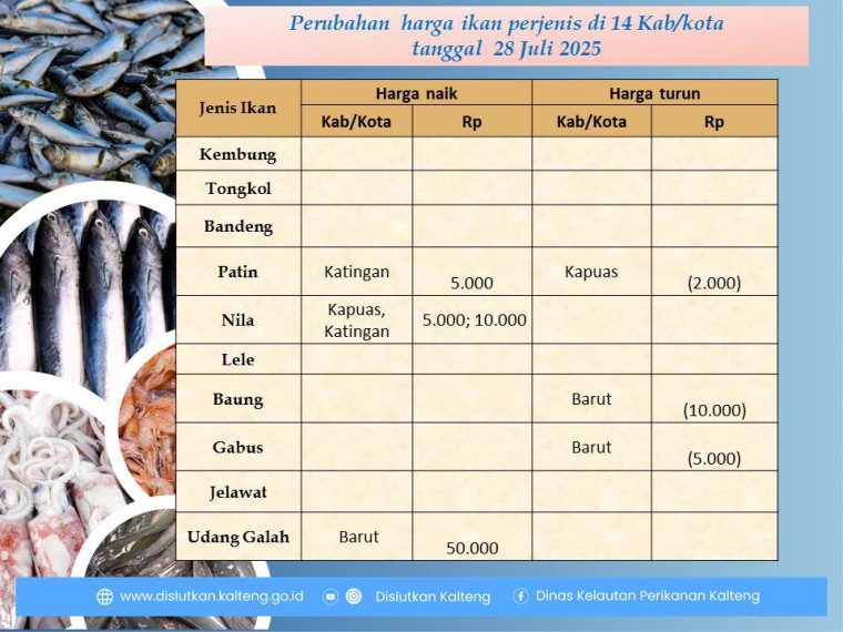 Gambar Info harga ikan tanggal 28 Juli 2025 dengan perubahan harga ikan terjadi di Kabupaten Katingan, Barito Utara dan Kapuas.