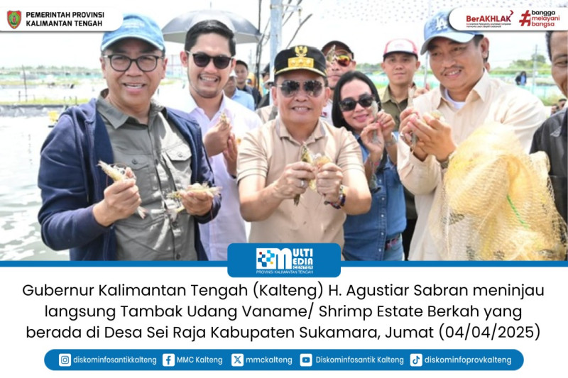 Gambar Gubernur Kalimantan Tengah (Kalteng) H. Agustiar Sabran meninjau langsung Tambak Udang Vaname/ Shrimp Estate Berkah yang berada di Desa Sei Raja Kabupaten Sukamara, Jumat (04/04/2025).