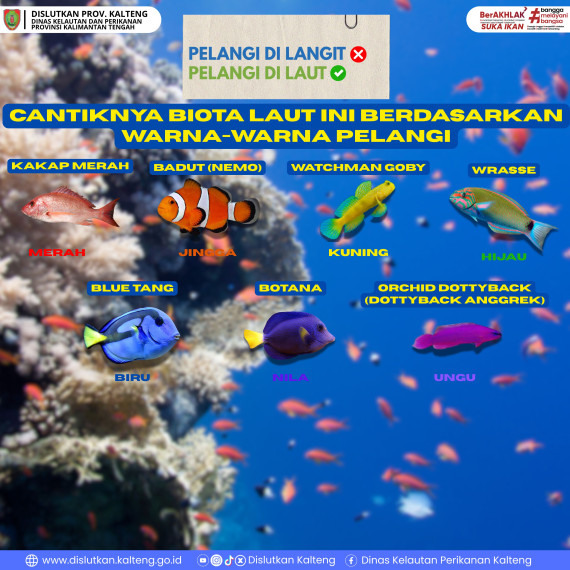 Gambar IKAN WARNA-WARNI SEPERTI PELANGI