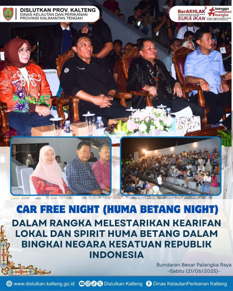 Gambar CAR FREE NIGHT