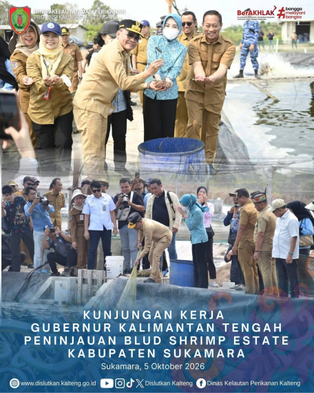 Gambar Header