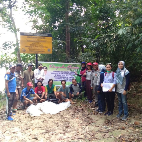Gambar Restoking Ikan betok/papuyu  di Danau Batu Desa Sigi Kecamatan Kahayan Tengah Kabupaten Pulang Pisau Kalimantan Tengah