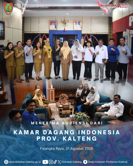 Gambar Kamar Dagang Indonesia Prov. Kalteng