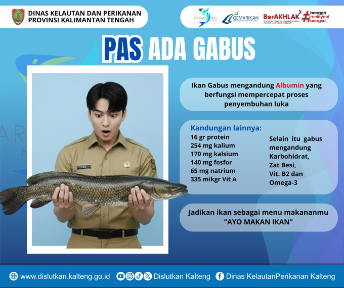 Gambar Pas Lapar, Pas Ada Gabus!