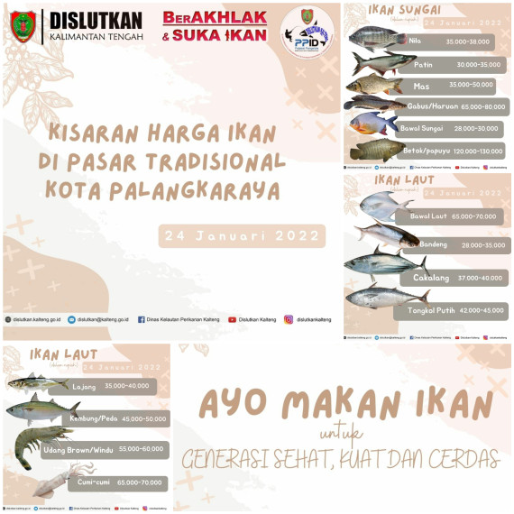 Gambar Survey Harga Ikan di Pasar Tradisional Kota Palangkaraya