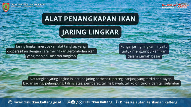 Gambar Alat Penangkapan Ikan Jaring Lingkar