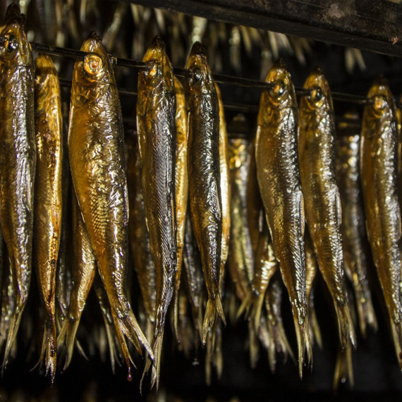 Gambar PENGAWETAN IKAN SECARA TRADISIONAL