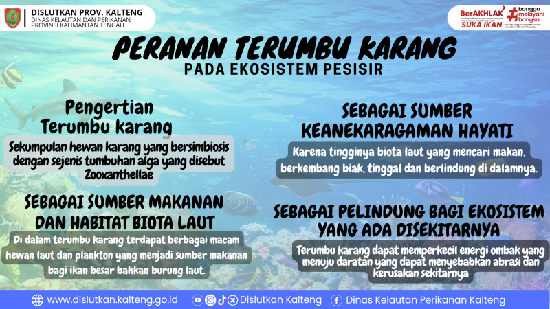 Gambar Peranan Terumbu Karang