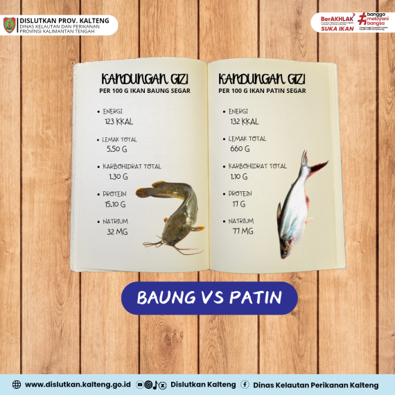Gambar Ikan Baung vs Ikan Patin