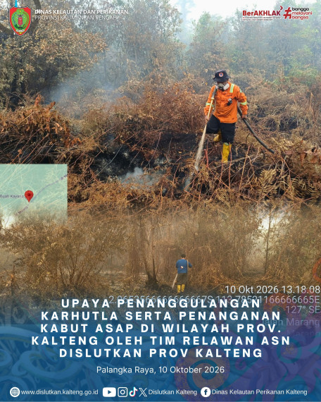 Gambar Header